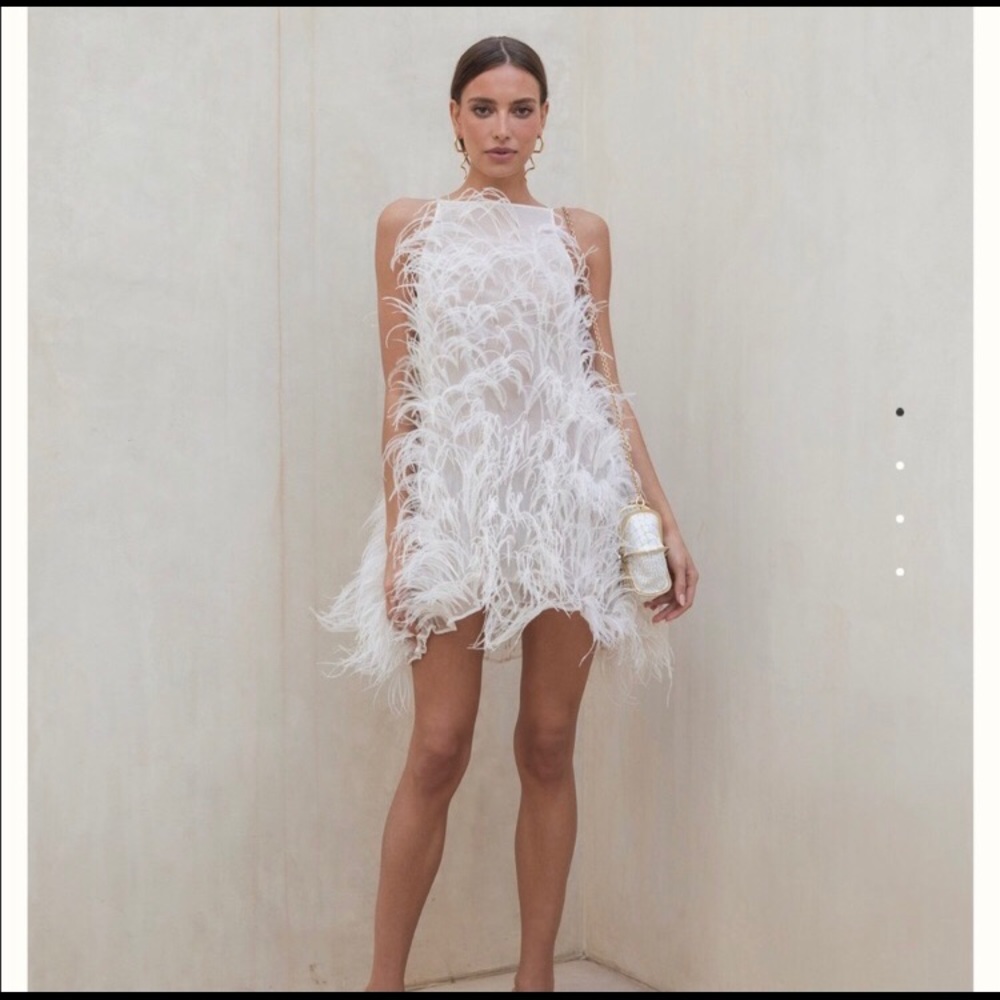 NWT Dress